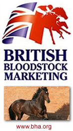 Bloodstock Marketing