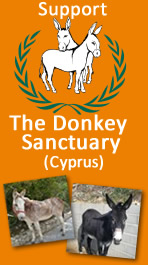 The Donkey Sanctuary - Cyprus