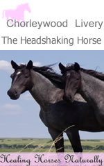The Headshaking Horse