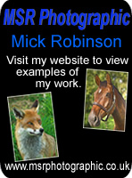 MSR Photographics - Mick Robinson