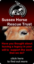 Sussex Horse Rescue Trust