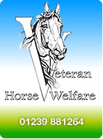 Veteran Horse Welfare