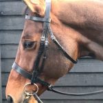 Bridle Fitting Advice