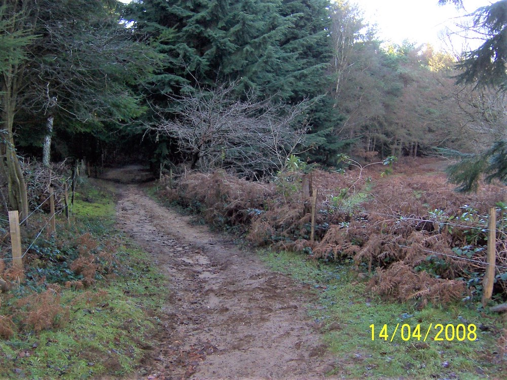A wire fence blocks off use along the old road to Lindford