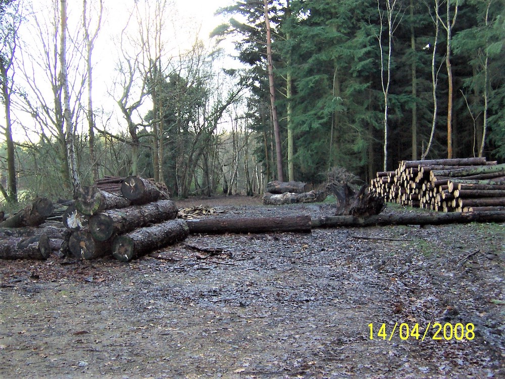 The old road behind the logs