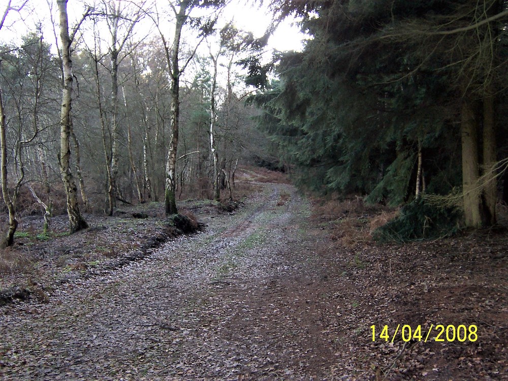 Part of the old road to Lindford a great loss of amenity