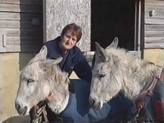 Pauline Grant - Sussex Horse Rescue