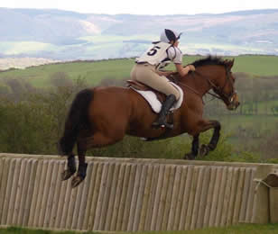 Tregoyd Sportsman: Bred by Margaret and Colin Green Competing Junior Novice eventing. Ridden by Rhiannon Eustace