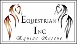 Equestrian Inc