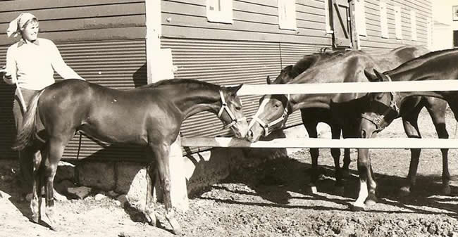 Three-month-old PT’s Cottonwood makes friends, 1980