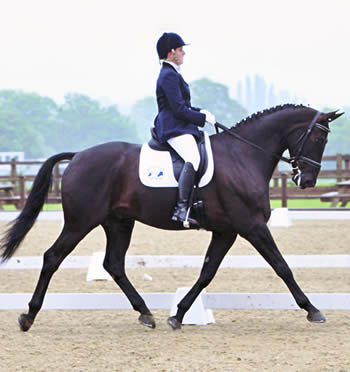 Nicky Thompson, 32, is a visually impaired Para-dressage rider.