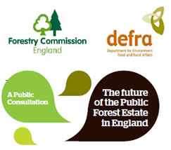 New direction for England’s public forest estate