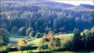 Protest over Grizedale Forest sell-off 