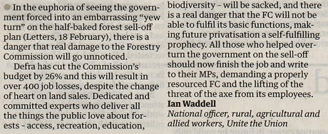 When the rot set in at the Forestry Commission 