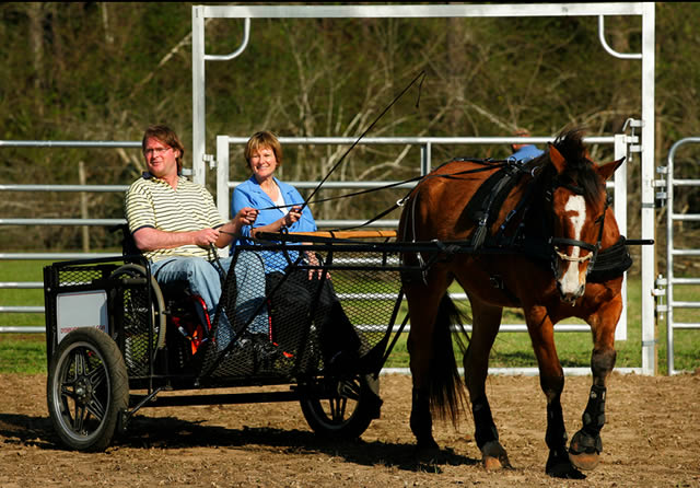 In a March 10, 2011 photo, Ritt Chitwood and his mother Margie Chitwood enjoy a ride in a metal cart designed to carry his wheelchair, pulled by his new horse Top Notch, a gift from veterinarian Dr. Cindy Brasfield. (AP Photo/Press-Register, Victor Calhoun) 