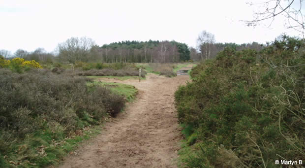 Hartlebury Common - Fight against fencing continues 