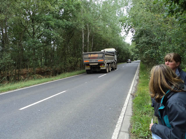 and the sightline with the lorry passing they refuse to cut back for us.