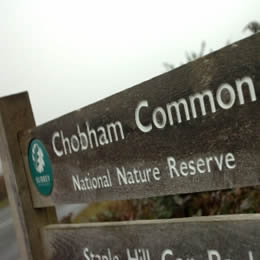Report by the CHOBHAM COMMON DEFENCE GROUP 