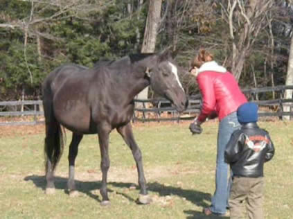 << Megan Adams & her 4-year-old son, Alex - reunited with her horse, Burmaís Lady. 