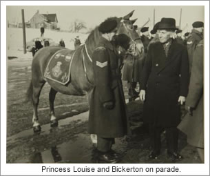 Meet Princess Louise. Equine War Heroine
