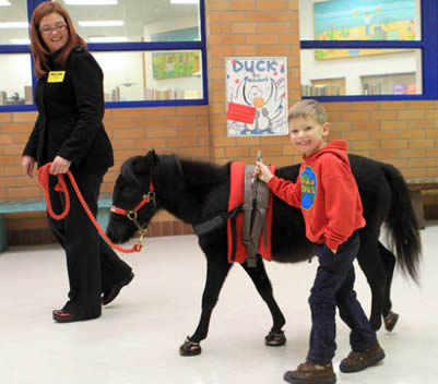 Miniature horse in sneakers helps keep 4-year-old special-needs child from being wheelchair bound