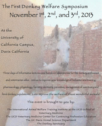 The First World Donkey Symposium 