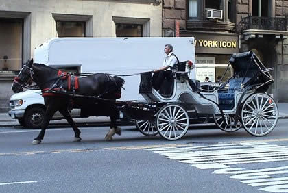 Horse carriage owners and operators fight to preserve their way of life