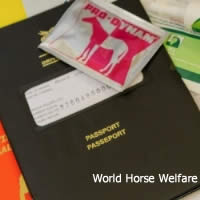 Improving the horse identification system in Britain: 