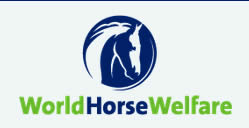 Says Amy Fordham, World Horse Welfare