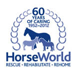 Horses are my saviour - How rescued horses rescued Richard