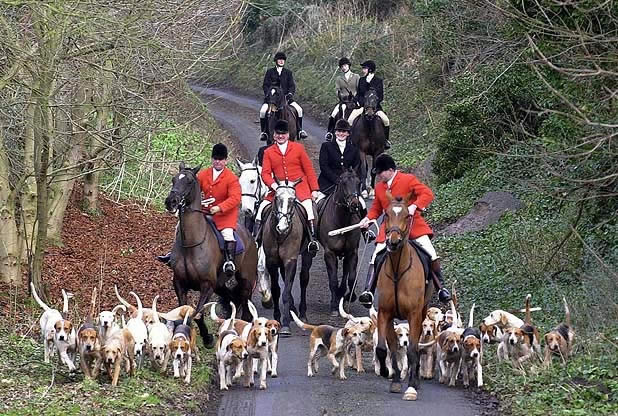 Call for RSPCA to rethink animal cruelty prosecutions following review of Heythrop Hunt case