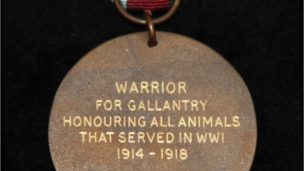 World War One - Real Warhorse Warrior awarded Animal Victoria Cross