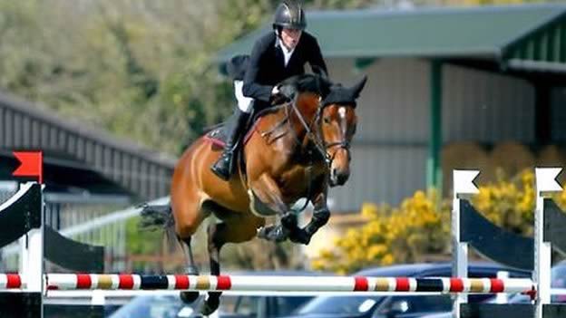 Unwanted horse that cost just 80p selected to compete at international showjumping