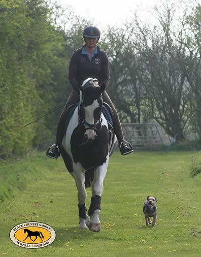A hack around the fields with Galifrey and Tilly