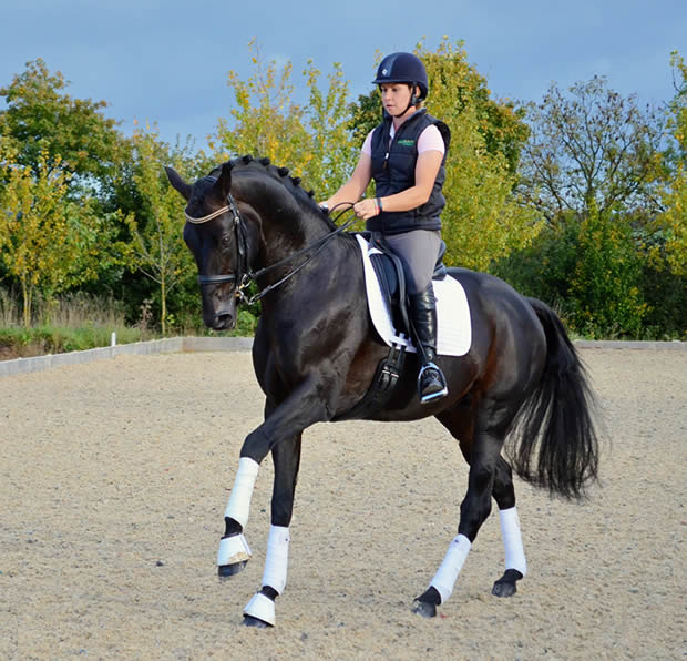 Dressage trainer and competitor, Hannah Bailey, is steaming ahead