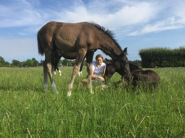 Lara Edwards answers questions about the breeding programme at Cyden Dressage, what enlightened her passion for breeding and her hopes for the future.