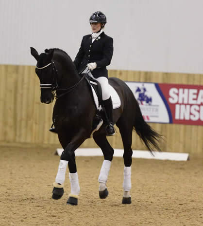 Lara Edwards answers questions about the breeding programme at Cyden Dressage, what enlightened her passion for breeding and her hopes for the future.