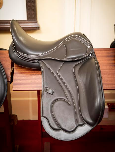 What to Look for in Your Saddle