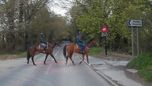 Special £20,000 horse crossing installed TO HELP RIDERS CROSS FAST BUSY ROAD