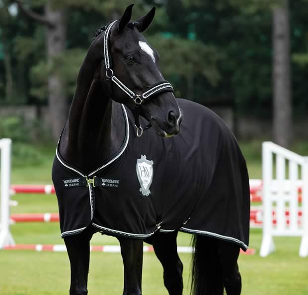 A good cooler rug will help cool down and dry off a sweaty horse after work