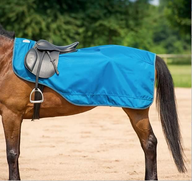 an exercise blanket to keep your horse or pony warm. This can help in escaping injuries caused by tight or cold muscles.