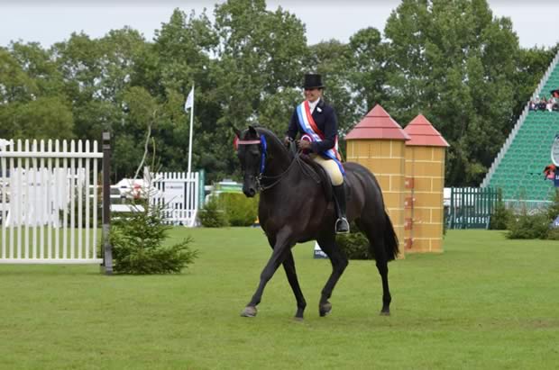Jo Bates, Successful Rider and Showing Producer 