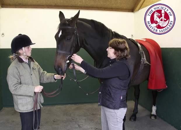 The Importance of Fitting a Bridle Correctly