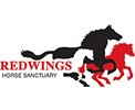 Redwings - Colic: Reduce the risk!