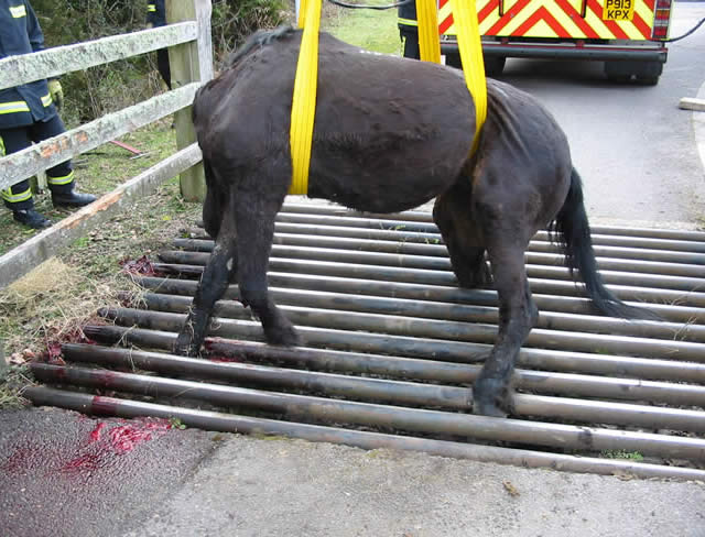 Have you had an accident involving a cattle grid?
