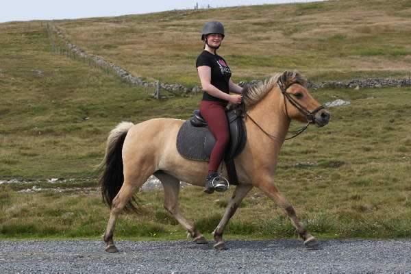 she is not a light legged, light skinned mare